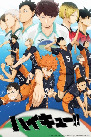 Haikyu!! Filler List